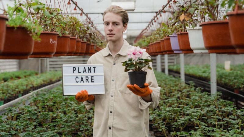 Building a Refreshing and Attractive Garden at Home – Tips and Tricks to Remember