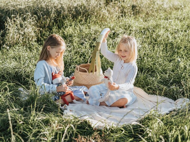 How to Host a Successful Picnic Like a Pro